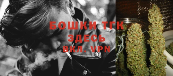 дмт Горнозаводск