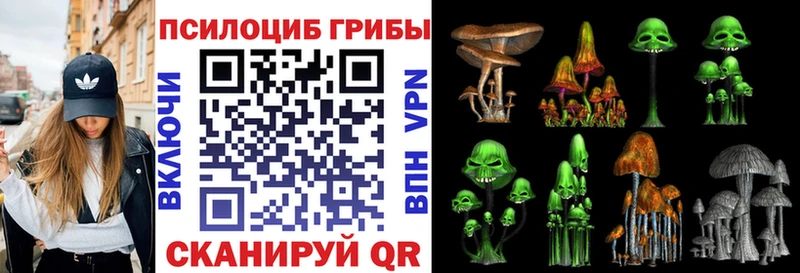 Псилоцибиновые грибы мицелий  Болохово 